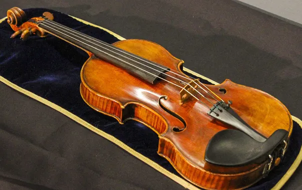 Expert en lutherie examinant un violon ancien à Pontarlier