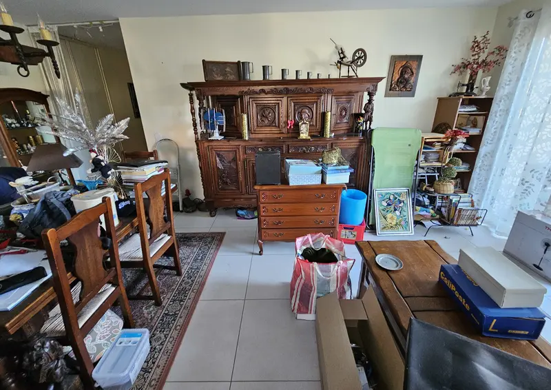 Équipe professionnelle de débarras